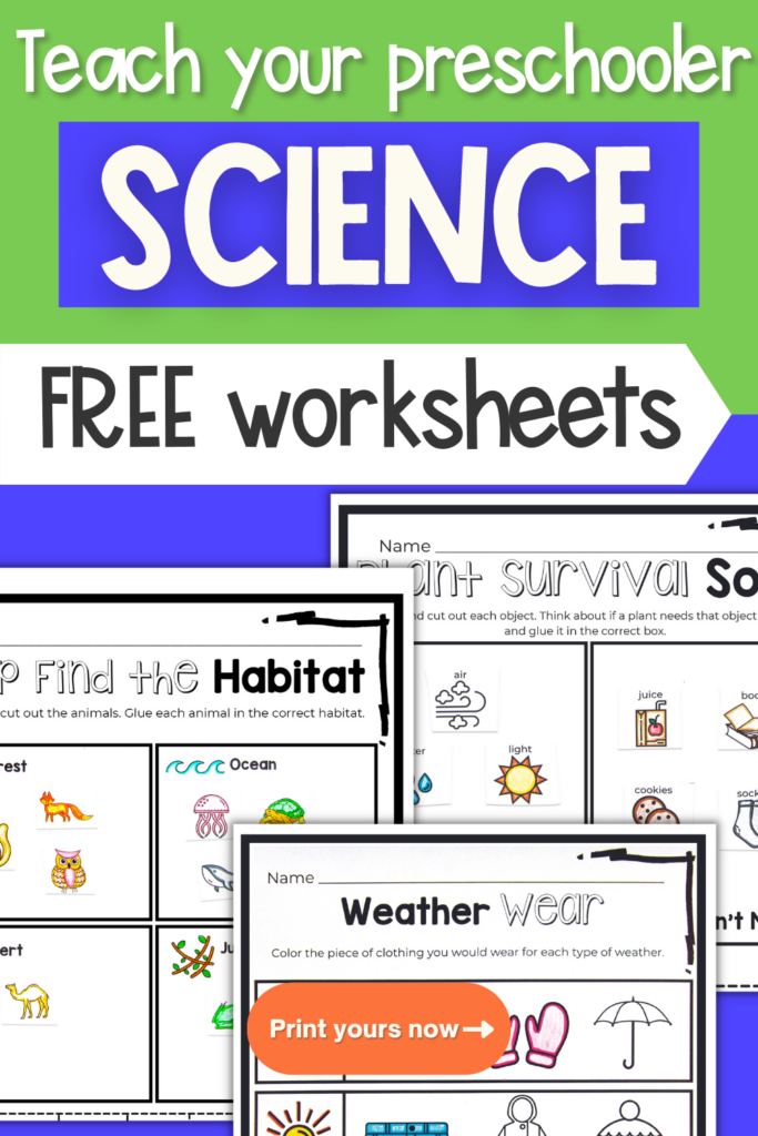 Free preschool science worksheets – Artofit