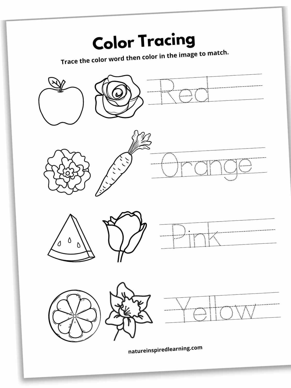 Free Printable Preschool Color Worksheets Tracing - Preschool Tracing Worksheets -Worksheets Library - Worksheets Library