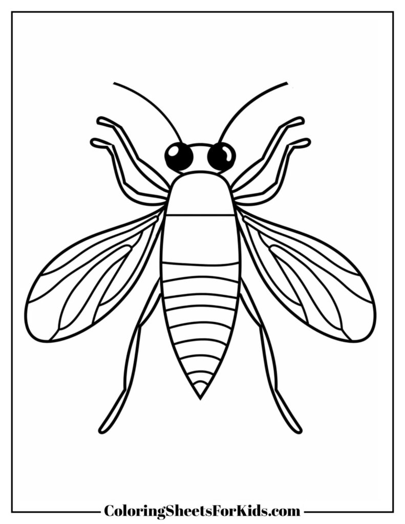 Insects Coloring Pages (Free Print & Downloads) - Coloring Sheets For ...