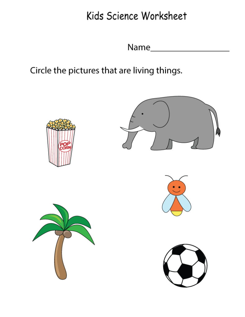 Kindergarten Science Printables