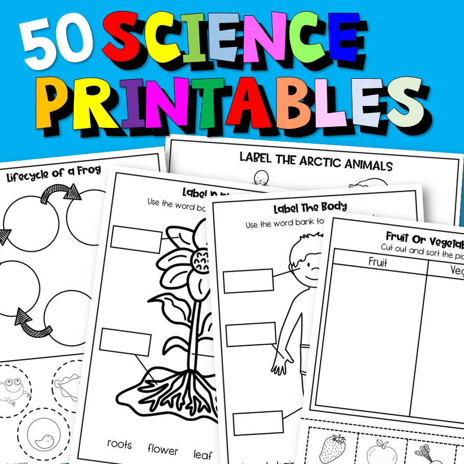 Pre K Science Printable Worksheets - Science Worksheets For